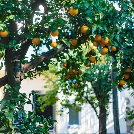 Pane E Marmellata 4*