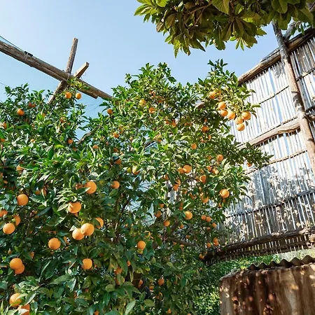 Pane E Marmellata サンタニェッロ