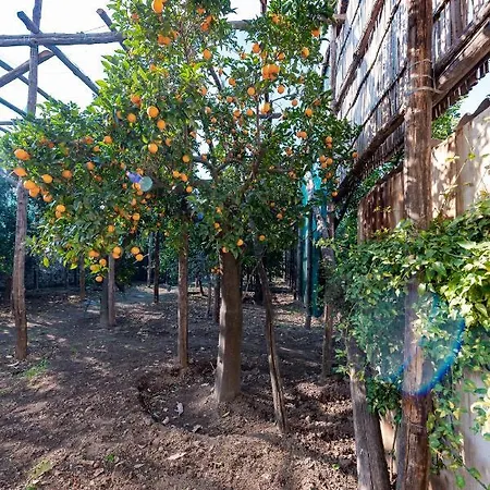 Pane E Marmellata ゲストハウス