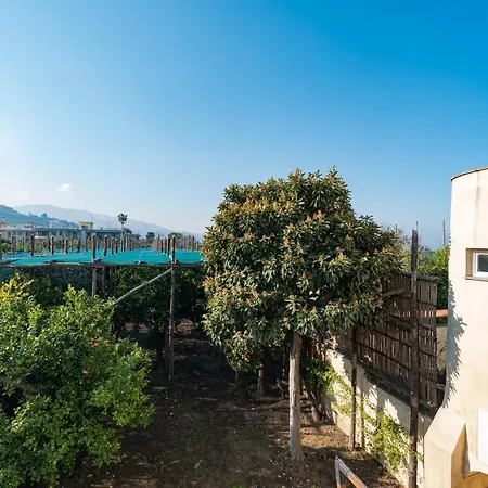 Pane E Marmellata 4*