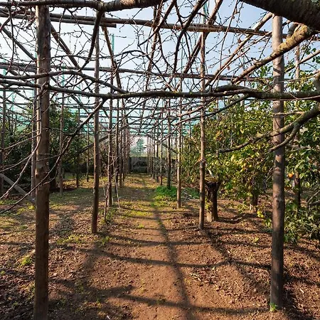 Pane E Marmellata 4* Sant'Agnello