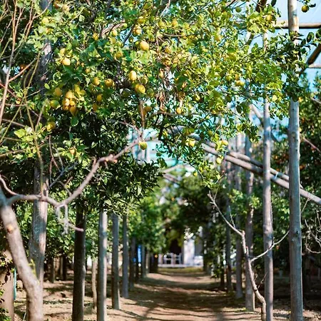 Affittacamere Pane E Marmellata 4*