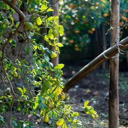 Pane E Marmellata Sant'Agnello