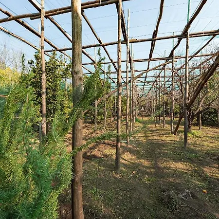 Pane E Marmellata Guest house *
