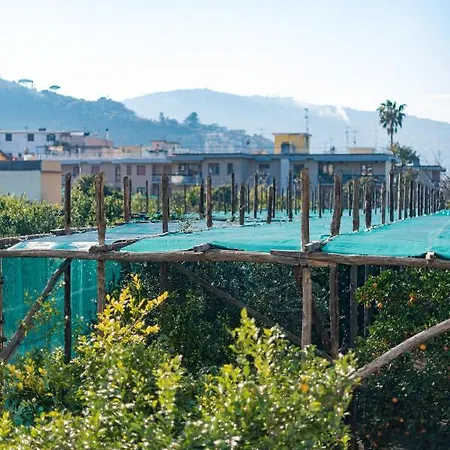 Pane E Marmellata Penzion Sant'Agnello