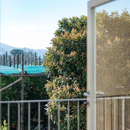 Pane E Marmellata Penzion 4*